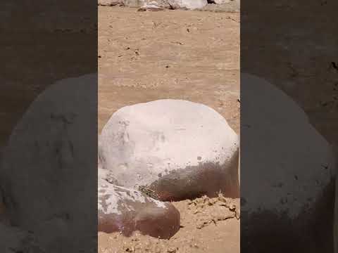 río calchaquí, quebrada de las conchas, Salta, Argentina