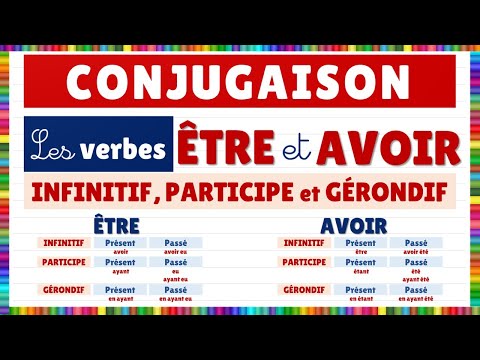 Vidéo 5
