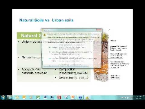 Creating Healthy Soil Using Soil Amendments - YouTube