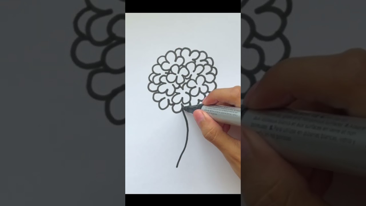 Draw Hydrangea | Flower | Easy funny drawings of cartoons