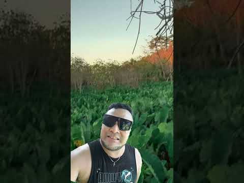 Spend my life with you. ft Michel Mamaia.Toa Laulu