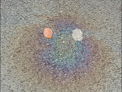 To Make A View (Freeverse) - Leo Nature