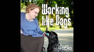 Working Like Dogs - Episode 194 Courthouse Facility Dogs