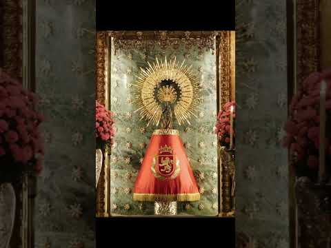 Salve Regina a la Virgen del Pilar. Virgen Santa, Amparo constante del pueblo que te invoca.
