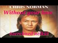 Chris Norman~Without Your Love (English lyrics/magyar felirat)