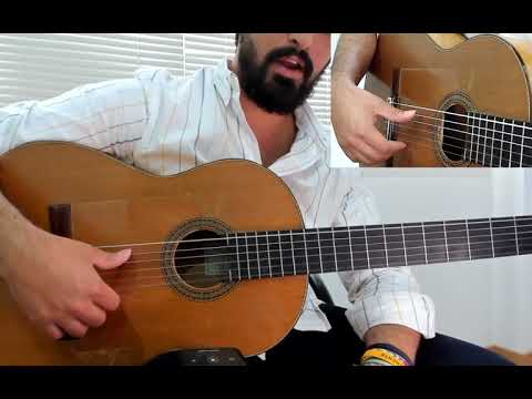 🎸 Flamenco Guitar Course Level 1/7 - Lesson 1 - Thumb with rythm