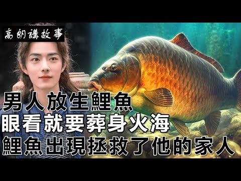 鯉魚吉祥話