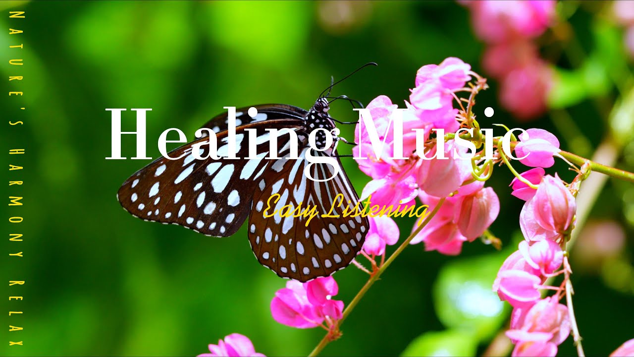 Healing Music Blue Tiger Butterfly 🌿 Gentle music to forget the hustle and bustle of daily life.#007