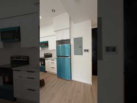 video 1