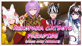 VOICING CUTE NEKO BOYS!!!【Nekopara Catboys Paradise】