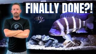 Finally Finishing My Frontosa Cichlid Aquarium! (Full Fish Room Update)
