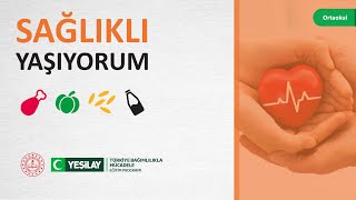 Ortaokul Öğrenci Düzeyi - TBM Sağlıklı Yaşam Eğitimi
