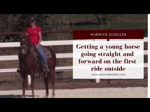 The key to getting a young horse going straight and forward on the first ride outside