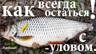Ловля мирной рыбы на ультралайт