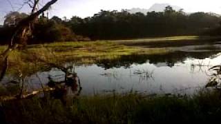 preview picture of video 'Early morning at The Lagoons - Volcan, Province of Chiriqui, Republic of Panama'