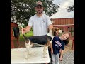 Episode 51 Mike Greene Cottonville Road Kennels Part 1