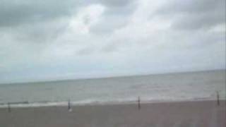 5. Gulf Winds de Joan Baez Chorus Cover and North Sea