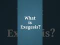 What is Biblical Exegesis Good For? #biblicallanguages #biblicalstudies