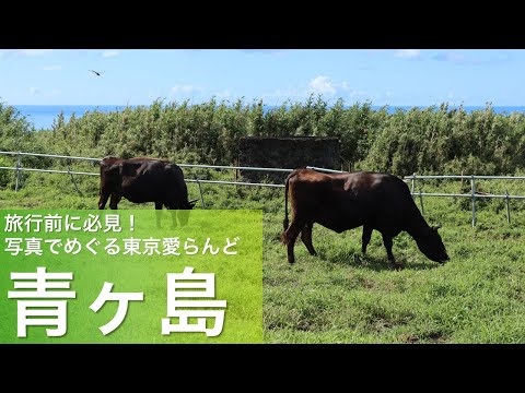 旅行前に必見！写真でめぐる東京愛らんど（伊豆諸島・青ヶ島編）