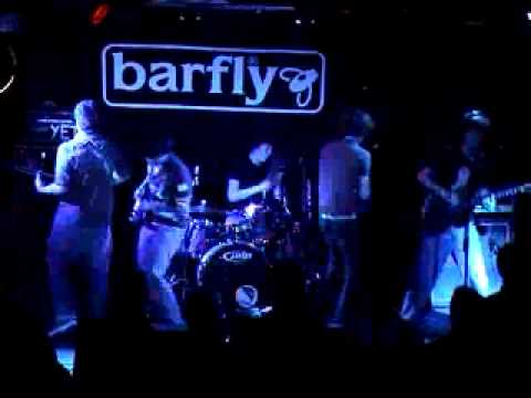 Score One For Safety perform cat vs. skyscraper