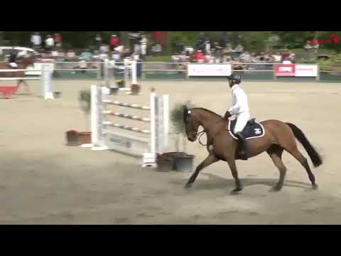 SX - Look At Me RP - 145cm - Germany