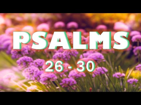 Holy Bible Audio: Psalm 26, Psalm 27, Psalm 28, Psalm 28, Psalm 30: with Popular Verses & Quotes