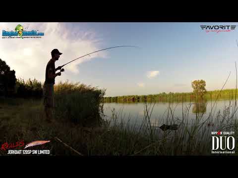 Duo Realis Jerkbait 120SP SW Limited ADA4071 Hokkaido - Seabass C & R