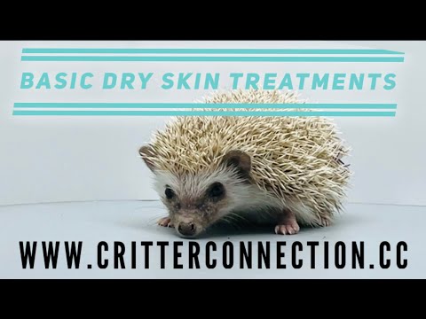 Basic dry skin treatment ~ hedgehogs