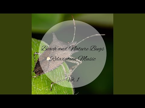 Beach Mellow Cool Sound