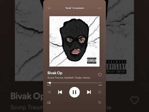 Scorp Trauma x Hyena x Gadaffi x Cedje Bivak Op