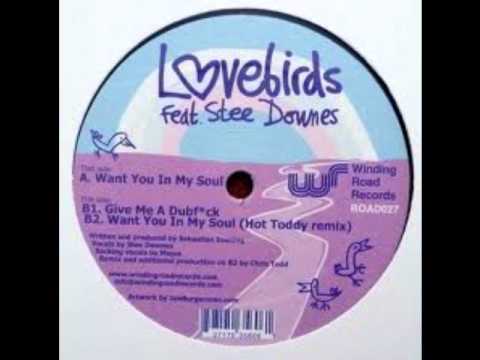 Lovebirds feat Stee Downes - Want You In My Soul (Hot Toddy Remix)