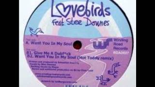 Lovebirds feat Stee Downes - Want You In My Soul (Hot Toddy Remix)