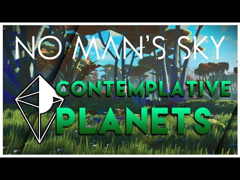 Contemplative planets on No Man's Sky #1