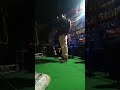 Main Tujhe Chod Ke Kahan Jaunga