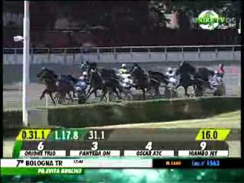 29/05/2014, Bologna , Premio Evita Broline C.naz.