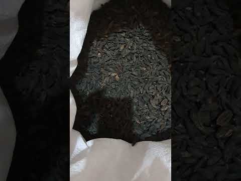 Terminalia chebula black himej, packaging type: plastic, pac...