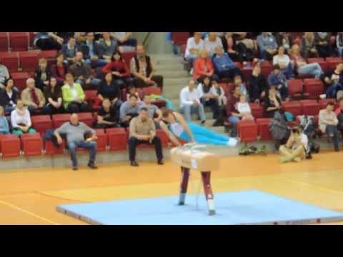 Ivan Bykov - Pferd - TG Saar - 1. Bundesliga - 19.04.2014