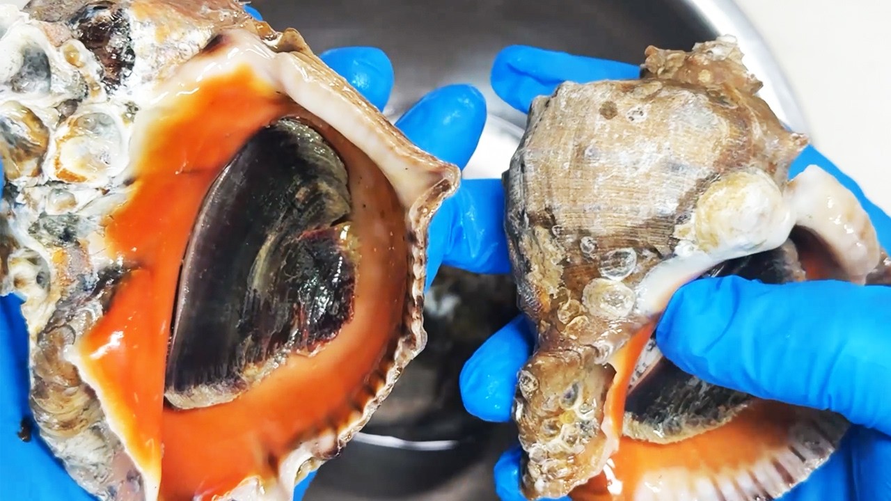 マイナー美味巻貝をイタリアンに！