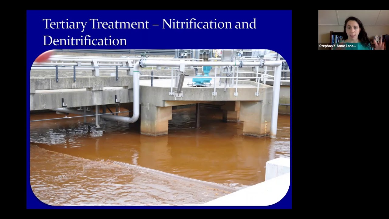 Wastewater treatment plants and anaerobic digestion