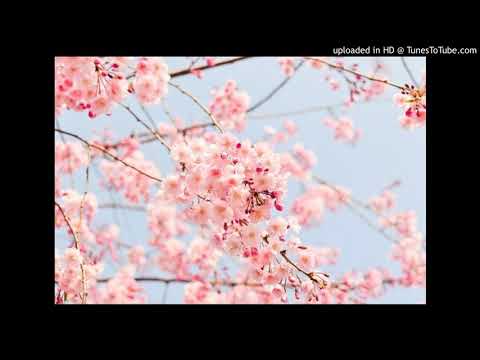 Nipsey Hussle - Come Over ft. James Fauntleroy