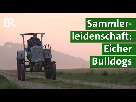 download lagu mp3 mp4 Eicher, download lagu Eicher gratis, unduh video klip Eicher