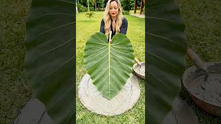 DIY Leaf Cement Garden Idea You Need To Try Today 🌿🌿🌿