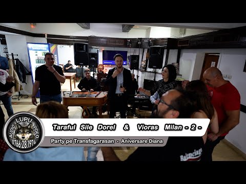 Party pe Transfagarasan - 5 - Taraful Sile Dorel & Vioras Milan - 2 - Aniversare Diana 2025