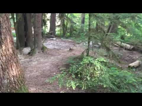 video of walk through site from car to creek