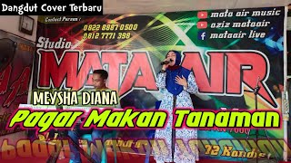 Download lagu PAGAR MAKAN TANAMAN (Mansyur S) - Meysha Diana | Dangdut Cover @THEMataAir mp3