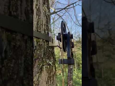 BOW HANGER MOBILE HUNTER COMBO HANGER ON TREE BOW HANGER MOBILE HUNTER COMBO HANGER ON TREE