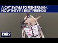 Fisherman Catches Cat While Fishing They Become Best Friends