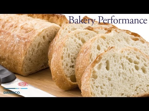 Bakery Performance | Pão Industrial com visual artesanal