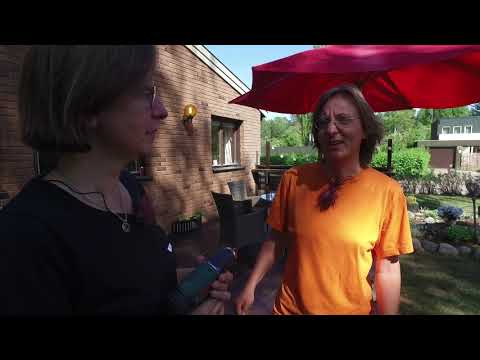 Uppsättning av holk för tornseglare