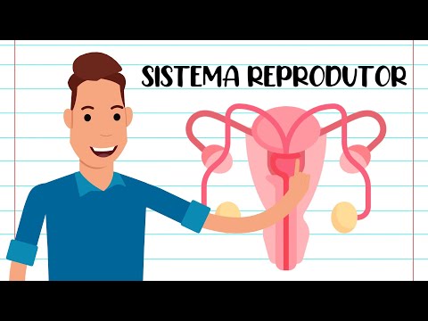 RESUMO - SISTEMA REPRODUTOR